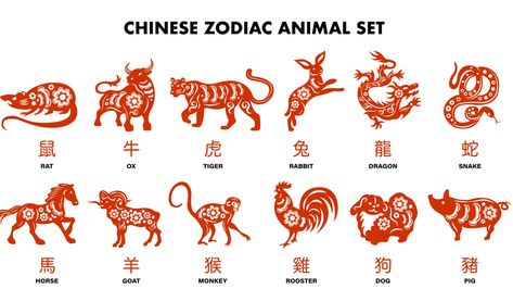 Chinese Horoscope September 2024: Monthly Predictions as per your Chinese zodiac sign Zodiac Signs Images, 12 Chinese Zodiac Signs, Chinese Horoscope, Astrology And Horoscopes, Chinese Zodiac Signs, September 2024, Chinese Zodiac, Name Signs, Asian Art