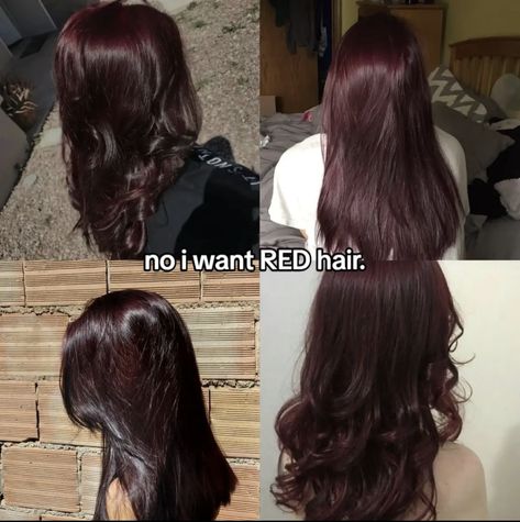 Dark Hair Dye Colors, Ethereal Hair Color, Strawberry Chocolate Hair, Dye Hair Ideas For Brown Hair, Reddish Black Hair, Hair Color For Warm Skin Tones, Hair Color Swatches, Wine Hair, Red Hair Inspo