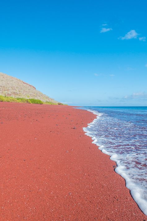 Giant Manta, Galapagos Island, Sailing Around The World, Red Sand Beach, Landscapes Beautiful, Dnd World, Multi Sensory, Red Sand, Manta Rays