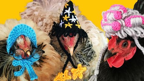 Crochet Chicken Hats Free Patterns, Crochet Hat For Chicken Pattern Free, Chicken Hat Crochet Pattern, Hats For Chickens, Chicken Clothes, Chicken Hats, Making Chicken, Bantam Chickens, Viking Hat