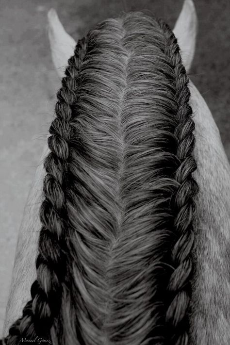 I don't think I'm patient enough to do this plus my horse would have it down in two minutes. Horse Hair Styles, Horse Hairstyles, Horse Mane Braids, Horse Braids, Horse Braiding, Tail Braids, Horse Mane, Horse Tail, Horse Ideas