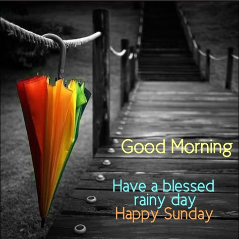 Rainy Sunday Morning Quotes, Rainy Sunday Quotes, Happy Rainy Sunday, Good Rainy Morning, New Week Blessings, Rainy Sunday Morning, Sunday Morning Images, Rainy Good Morning, Morning Rainy Day