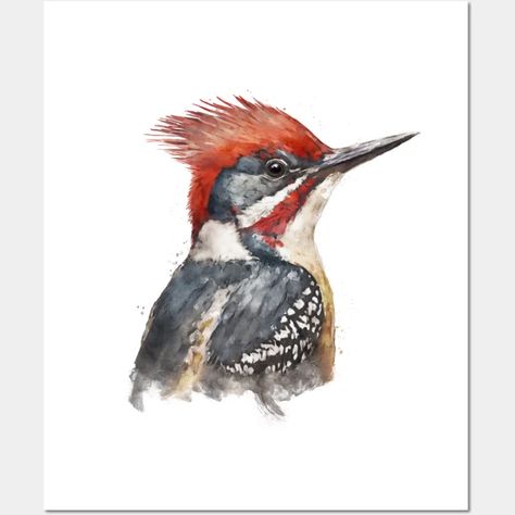 Pileated Woodpecker Bird Watercolor Painting Portrait - Woodpecker Bird - Posters and Art Prints | TeePublic Water Colour Art, Woodpecker Bird, Pileated Woodpecker, Bird Water, Spring Fair, Bird Watercolor Paintings, Bird Watercolor, Colour Art, Bird Poster