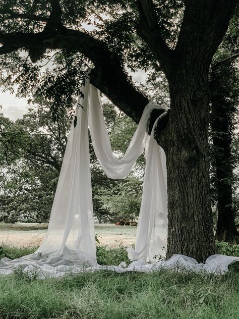 Wedding Tree Drapery, Drapery In Trees Outdoor Weddings, Tree Drapery Wedding, Fabric Ceremony Backdrop, White Backdrop Wedding, Wedding Drapery Ideas, Backyard Wedding Aesthetic, Wedding Alter, Wedding Drapery