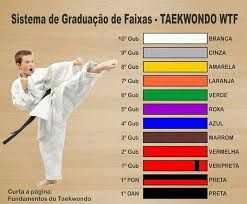 Graduação de taekwondo Tae Kwon Do, Tai Chi, Muay Thai, Judo, Kickboxing, Taekwondo, Kung Fu, Karate, Martial Arts