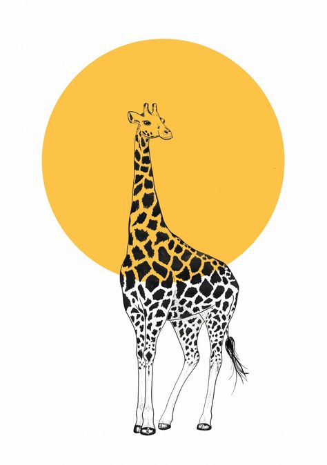 Sarah May, Giraffe Drawing, Giraffe Pictures, Giraffe Illustration, Giraffe Art, A Giraffe, Illustrations And Posters, Line Art Drawings, Animal Illustration