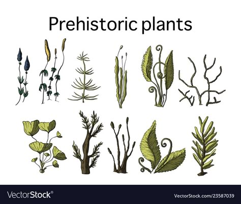 Jurassic Plants Illustration, Prehistoric Plants Drawings, Prehistoric Plants Illustration, Prehistoric Flowers, Prehistoric Illustration, Jurassic Plants, Dino Museum, Prehistoric Plants, Extinct Plants