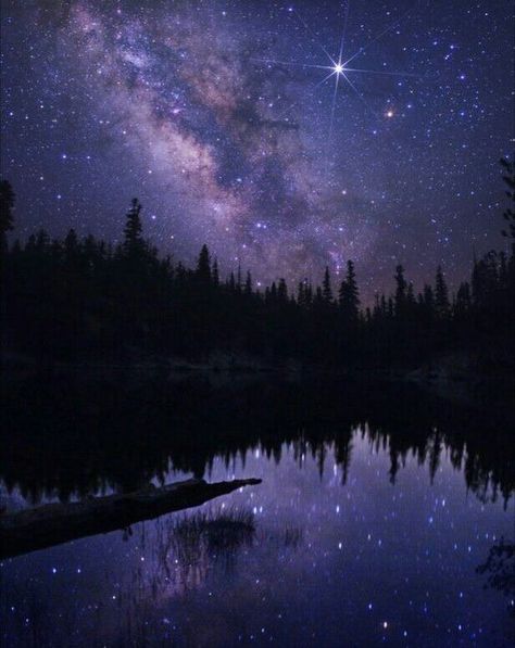 North Star Aesthetic, Star Aesthetic, Mystical Places, Pretty Backgrounds, Moon Pictures, Guiding Light, Night Aesthetic, North Star, Nature Aesthetic