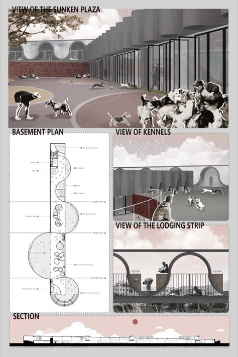 Designing an animal-welfare shelter Modern Shelter Design, Homeless Architecture Projects, Animal Architecture Concept, Dog Shelter Design, Architecture For Animals, Animal Shelter Architecture, Homeless Shelter Architecture, Shelter Design Architecture, Pet Architecture