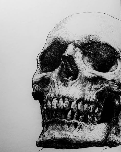 Detailed Skeleton Drawing, Anime Ink Art, Skull Ink Drawing, Skull Face Drawing, Skull Shading, Skull Drawing Ideas, Cool Skull Drawings, Skull Drawings, Dark Tattoos