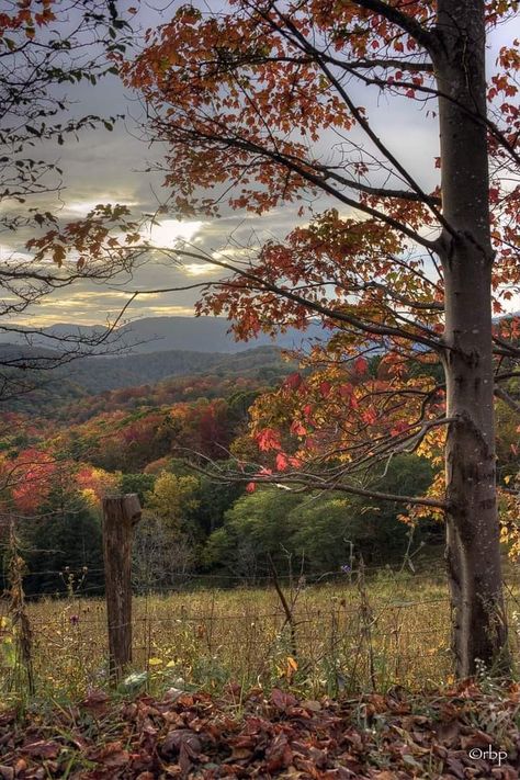 Randolph County, West Virginia West Virginia Mountains, Line Stone, Country View, Football Family, Cozy Summer, Fall Morning, 2024 Aesthetic, Pumpkin Spice And Everything Nice, The Turning