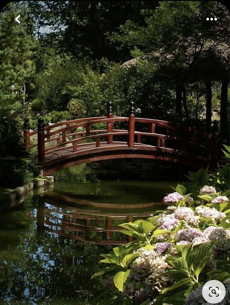 Jardines Aesthetic, Jardin Aesthetic, Garden Bridge Design, Ponds Ideas, Pond Bridge, Garden Bridges, Bridge Ideas, Japanese Bridge, Japanese Garden Landscape