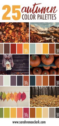 Color Pallets Inspiration For Home, Fall Cookie Color Palette, Autumn Decor Color Palette, Orange Wood Color Palette, Fall Palette Colour Schemes, Fall Color Palette Home, Pastel Fall Colors, Fall Color Pallettes, Fall Wedding Mood Board