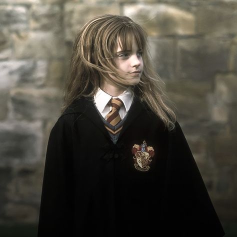 Hermione Granger Fanart, Hermione Granger Harry Potter, Harry Hermione Ron, Hermione Granger Aesthetic, Emma Watson Harry Potter, Harry Potter Painting, Harry Potter Girl, Harry Potte, Harry Potter Icons