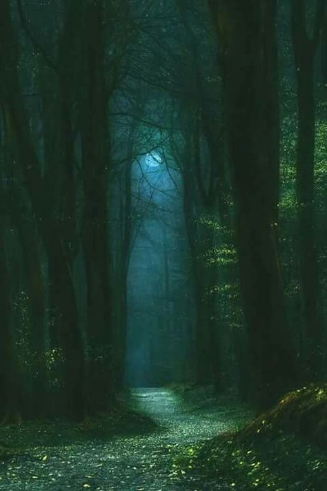 Dark Naturalism, Dark Green Aesthetic, Slytherin Aesthetic, Mystical Forest, Night Forest, Magical Forest, Alam Yang Indah, Magical Places, Dark Forest