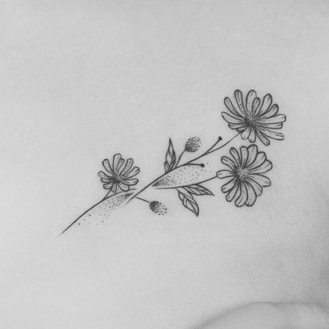 Archie Tattoo, Aster Flower Drawing, September Tattoo, Aster Flower Tattoo, Aster Tattoo, Aster Flower Tattoos, Flower Tattoo Stencils, Water Lily Tattoos, Flower Tat