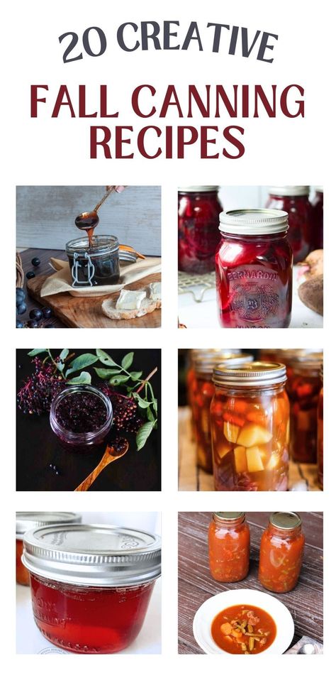 Dive into these 20 fall canning recipes that bring the heart of autumn into your pantry. From spiced apple butter to hearty venison stew, these ideas ensure you savor the season all year round. Perfect for cozy meals and heartfelt gifts! 🍎🍂 #FallCanning Fall Preserves, Canning Basics, Canning Venison, Canning Preserves, Fall Canning, Canning Soup Recipes, Dehydrating Recipes, Canning Gifts, Canning Pears