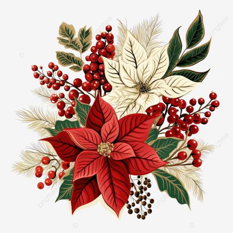 winter and christmas stylized decorative leaf designs of poinsettia holly berry spruce tree png Winter Plants Illustration, Christmas Flower Illustration, Christmas Plants Illustration, Christmas Art Design, Christmas Foliage Illustration, Pointsetta Christmas, Berry Christmas Decor, Poinsettia Illustration, Pinecone Painting