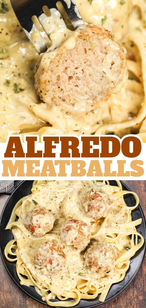 Alfredo Meatballs are an easy ground chicken meatball recipe loaded with Italian seasoned bread crumbs, garlic powder and parmesan cheese and tossed in a rich and creamy alfredo sauce. Alfredo Meatballs Crockpot, Meatballs And White Sauce, Meatball And Noodle Recipes, Alfredo Meatloaf, Alfredo And Meatballs, Ground Turkey And Alfredo Sauce Recipes, Italian Meatball Meal Ideas, Recipes Using Italian Meatballs, Chicken Meatball Pasta Recipe