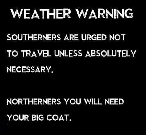 Weather warning: Southerners are urged not to travel unless absolutely necessary. Northerners, you sill need your big coat. Star Wars Tree, Cold Weather Memes, Weather Jokes, Wicket Ewok, Cold Weather Quotes, Winter Humor, Weather Memes, The Lying Detective, Tree Village