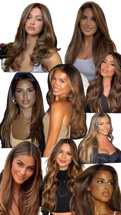 Honey Brown Hair Color, Brown Hair Looks, Hair Color Caramel, Brown Hair Inspo, Hair Inspiration Long, Brunette Hair With Highlights, Hairstyles For Layered Hair, Color Collage, Hairdos For Curly Hair