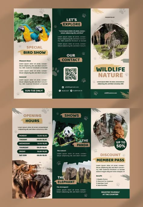 Zoo Package Tri-Fold Brochure Template AI, EPS Tri Brochure Design, Zoo Brochure Design, Leaflet Design Layout Creative, Trifold Design Ideas, Brochure Front Page Design, Broucher Ideas Design, Animal Brochure, Zoo Brochure, Tri Fold Brochure Design