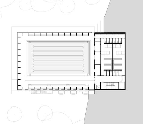 Gallery of Freemen’s School Swimming Pool / Hawkins\Brown - 12 School Swimming Pool, Pool Design Plans, Swimming Pool Plan, Sport Pool, Swimming Pool Architecture, Olympic Swimming, University Architecture, Plans Architecture, Diy Swimming Pool