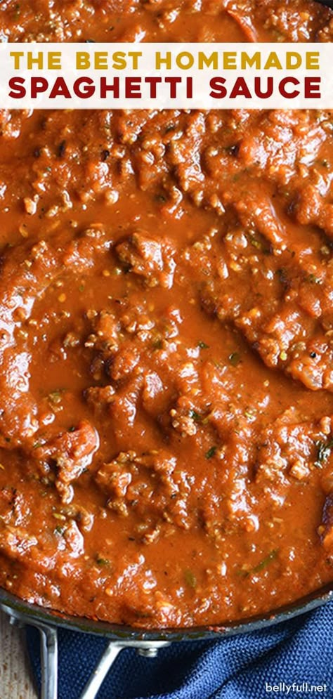 Homemade Spaghetti Meat Sauce, Best Homemade Spaghetti, Best Homemade Spaghetti Sauce, Best Spaghetti Sauce, Homemade Spaghetti Sauce Recipe, Spaghetti Recipes Easy, Sauce Spaghetti, Best Spaghetti, Spaghetti Sauce Recipe