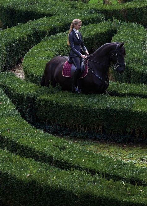 British Style, Horse back riding in a garden labyrinth, fancy equine attire, beautiful black horse. Country Woman, Equestrian Helmets, Equestrian Helmet, Horse Aesthetic, Horse Blankets, Clydesdale, Equestrian Life, Equestrian Outfits, Old Money Aesthetic