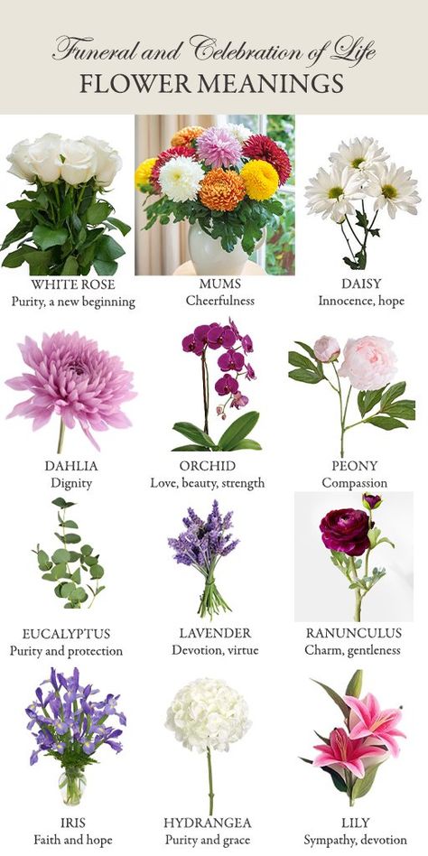 Flowers And Their Meanings, Life Themes, Object Reference, Memorial Services, Life Flower, Flower Guide, Memorial Flowers, Cemetery Flowers, Flower Meanings