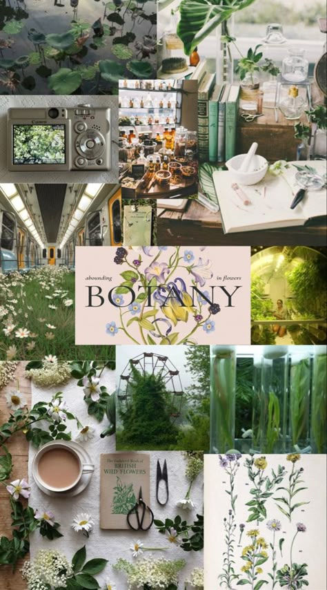 Botany Wallpaper Aesthetic, Environment Science Aesthetic, Science Core Outfit, Botany Aesthetic Wallpaper, Botanical Mood Board, Botany Student Aesthetic, Horticulture Student Aesthetic, Plant Science Aesthetic, Plant Biology Aesthetic