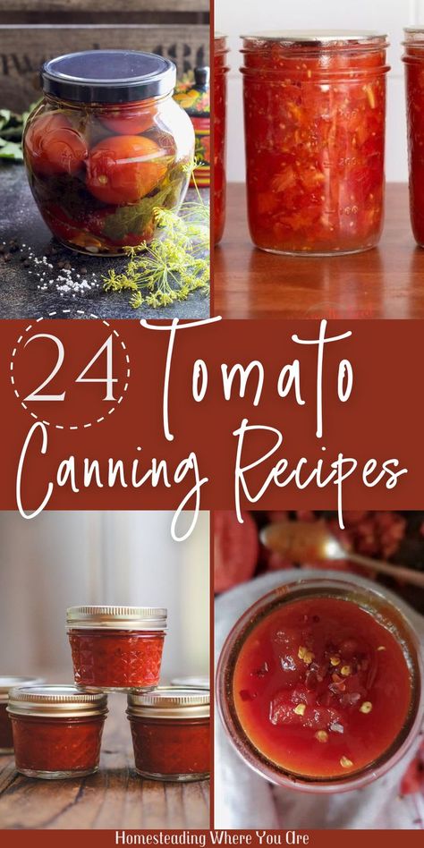 Don't let all those fresh tomatoes from the garden go to waste. Try a few different tomato canning recipes. From fresh tomato sauce to salsa and homemade ketchup, check out all of these different ways to can tomatoes. Many of these recipes are versatile, using either fresh tomatoes or canned tomato sauce! Canning Tomato Recipes Ideas, Tomato Canning Recipes, Best Tomato Sauce Recipe, Garden Tomato Recipes, Best Canned Tomatoes, Canned Tomato Recipes, Tomato Canning, Recipes For Canning, Recipe Using Tomatoes