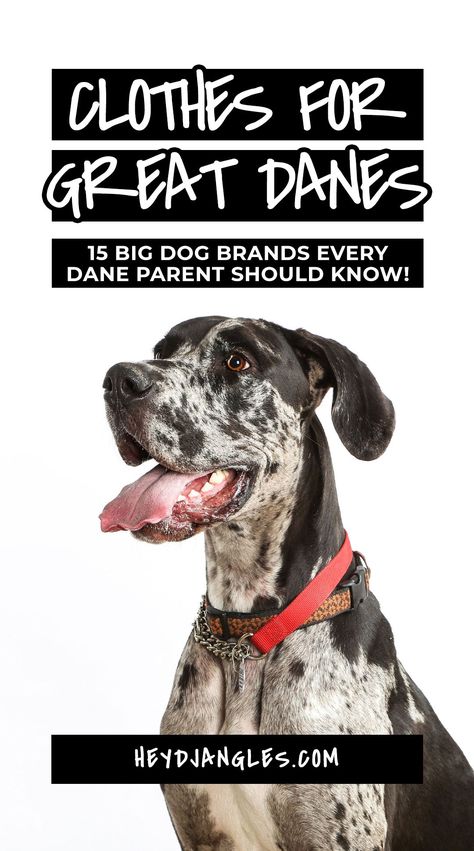 Best Coats & Clothes for Great Danes: 15 Big Dog Brands to Know - incl. Voyagers K9 Apparel, Canada Pooch, Mila + Me, Gold Paw, GF Pet, Chilly Dog, WeatherBeeta and more! Great Dane Jacket Pattern, Great Dane Accessories, Great Dane Crate, Dog Brands, Canada Pooch, Merle Great Danes, Diy Dog Sweater, Big Dog Clothes, Chilly Dogs