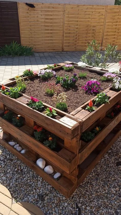 Como Plantar Pitaya, Grow Vegetables, Veg Garden, Pallet Garden, Pallets Garden, Backyard Pool Designs, Garden Yard Ideas, Small Backyard Patio, Small Garden Design