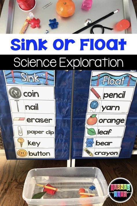 Vetenskapliga Experiment, Pre-k Science, Ocean Theme Preschool, The Water Cycle, Sink Or Float, Motivate Students, Science Week, Preschool Science Activities, Ocean Activities