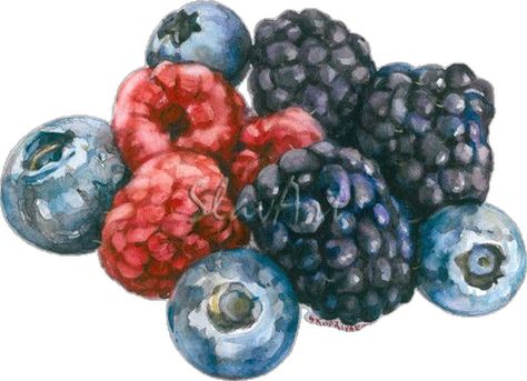 Berries Painting, Realistic Kitchen, Berries Watercolor, Fruit Watercolor, Food Watercolor, Painting Fruit, Forest Fruits, Fruit Wall Art, Food Artwork