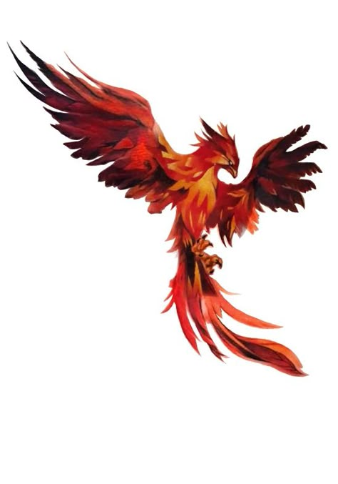 Phoenix Design Drawing, Phoenix Digital Art, Phoenix Tattoo Masculine, Phoenix Art Drawing, Fire Bird Tattoo, Fenix Tattoo Design, Phoenix Drawings, Fenix Art, Tato Phoenix