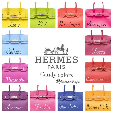 Hermes Color Chart, Hermes Birkin Colours, Hermes Colors, Birken Bag, Birkin Handbags, Handbag Storage, Roshe Run, Birkin Kelly, Handbag Outfit