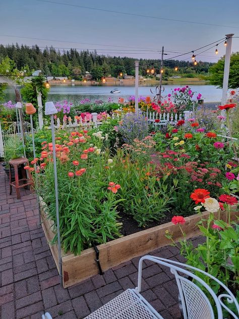 Raised Bed Flower Garden, Flower Garden Cottage, Beginning Gardening, Cottage Style Garden, Easy To Grow Flowers, Easiest Flowers To Grow, Flower Garden Layouts, August Garden, Allotment Ideas