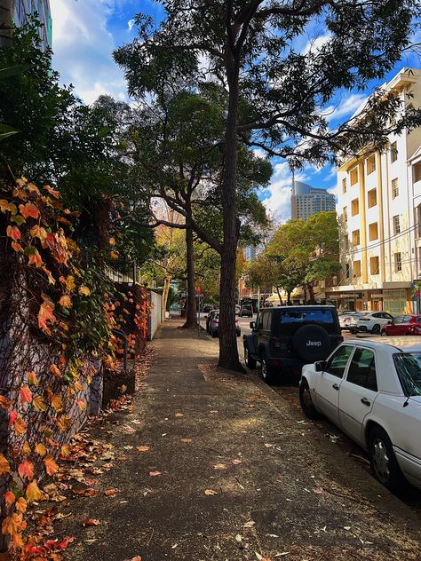 Sydney Autumn, Aesthetic Sydney, Orange Photo, Uni Student, Cars Jeep, Aesthetic Street, Uni Life, Inspiration Aesthetic, Leaves Fall