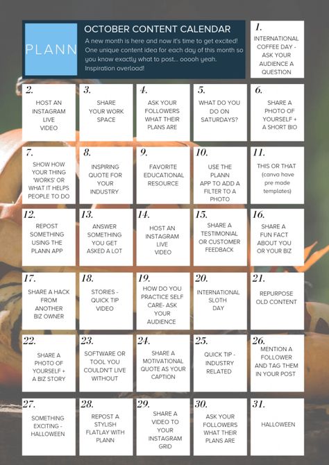 December Social Media Content, 31 Days Of October, Instagram Content Calendar, Instagram Calendar, Instagram Content Ideas, Social Media Content Calendar, Caption Ideas, Content Calendar, Media Planner