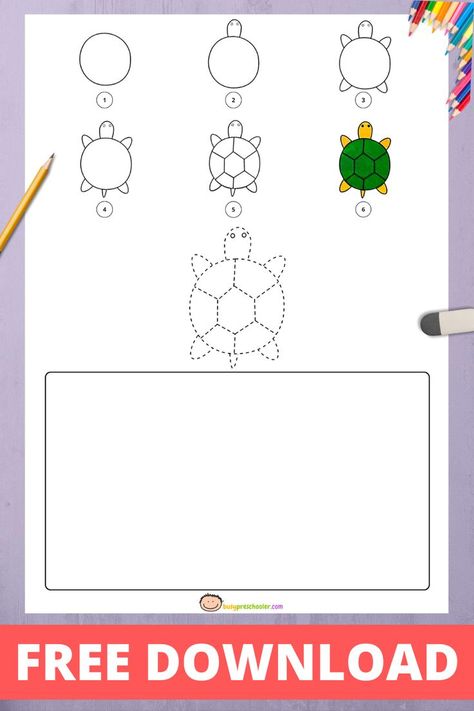 Use this free printable to teach kids how to draw a turtle in six easy steps. Draw A Turtle, Draw A Box, Turtle Drawing, Box Turtle, Easy Drawings For Kids, Basic Drawing, Kindergarten Art, Teach Kids, A Turtle