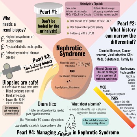 Nclex Hacks, Nephrology Nursing, Focal Segmental Glomerulosclerosis, Doogie Howser, Kidney Biopsy, General Medicine, Nephrotic Syndrome, Medical Notes, Bells Palsy