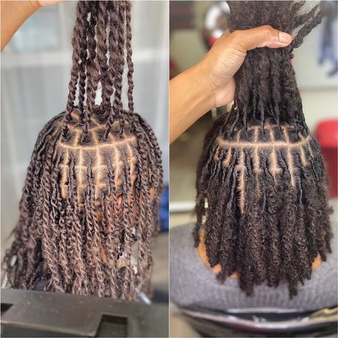 Two Strand Twist Starter Locs Budding, Two Strand Starter Locs Journey, Two Strand Twist Natural Hair Locks, 3 Month Starter Locs 2 Strand, 4c Hair Starter Locs, Hairstyle For Starter Locs, Natural Hair Locs Twists, Starter Loc Sizes 4c, Medium Coil Starter Locs