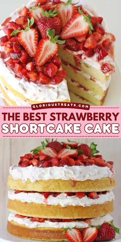 You'll love this best strawberry shortcake for your set of spring dessert ideas! Learn how to make this easy shortcake recipe and enjoy a perfect vanilla cake layered with fresh whipped cream and strawberries! So irresistible! Shortcake Recipe Easy, The Best Strawberry Shortcake, Best Strawberry Shortcake, Strawberry Shortcake Recipe Easy, Shortcake Recipes, Strawberry Vanilla Cake, Bolo Red Velvet, Shortcake Cake, Strawberry Shortcake Cake