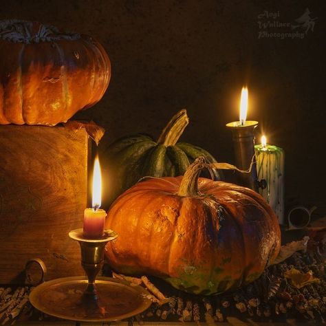 Pumpkins And Candles, Pumpkin Photography, Countryside Farmhouse, Candles Cozy, Facts About Halloween, Goblincore Aesthetic, Cottagecore Country, October Autumn, Halloween Facts