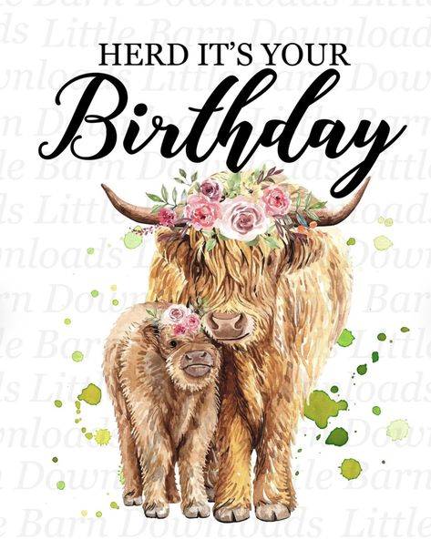 Cow Quotes, Happy Birthday Floral, Cow Birthday, Fluffy Cows, Waterslide Decals, Birthday Png, Birthday Clipart, Highland Cows, Birthday Meme