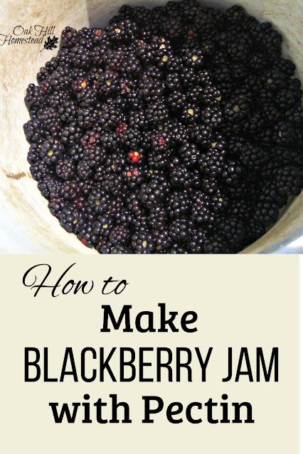 How to make blackberry jam with pectin Blackberry Jam With Pectin, Blackberry Jelly Recipe, Forage Recipes, Blackberry Freezer Jam, Black Raspberry Jam, Jam With Pectin, Canning Blackberries, Make Vinegar, Seedless Blackberry Jam