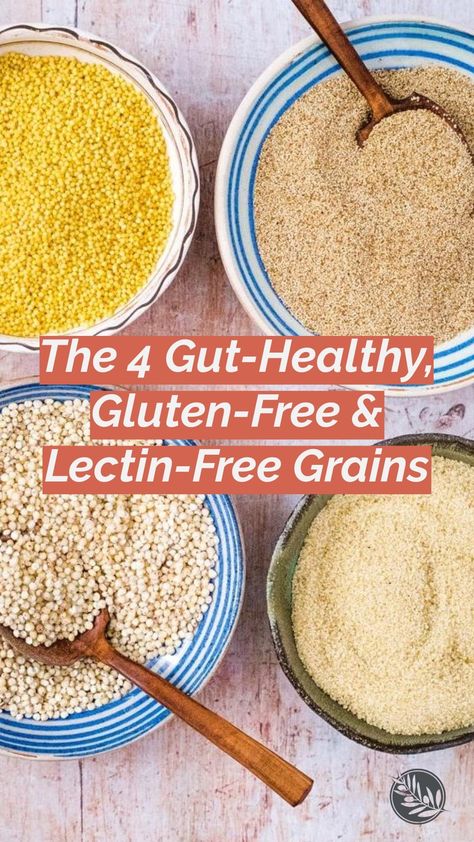 How To Cook Millet, Gluten Free Cracker Recipe, Dr Gundry Recipes, Lectin Free Foods, Lectin Free Diet, Dr Gundry, Grain Free Vegan, Fonio, Crackers Recipe