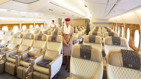 Premium Economy Seats Of These Airlines Offer Luxurious Experience Premium Economy Seats, Premium Economy, Economy Seats, Emirates Airline, Bar Service, Boeing 777, New Africa, Small Cabin, Travel Time